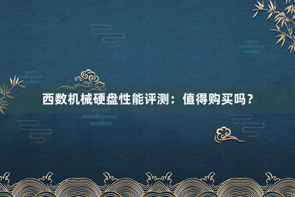 西数机械硬盘性能评测：值得购买吗？