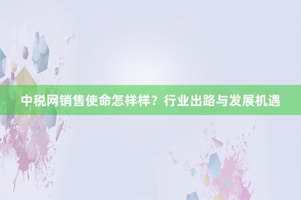 中税网销售使命怎样样？行业出路与发展机遇